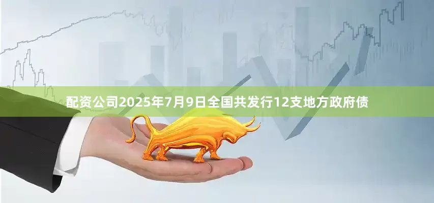 配资公司2025年7月9日全国共发行12支地方政府债