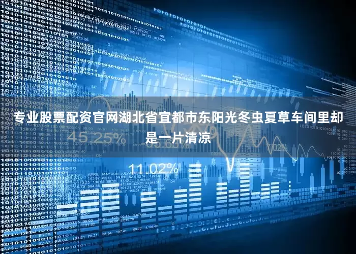专业股票配资官网湖北省宜都市东阳光冬虫夏草车间里却是一片清凉